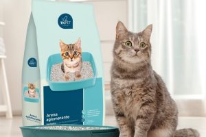 Conoce los tipos de arena para gatos
