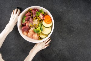 Beneficios de la alimentación natural en mascotas