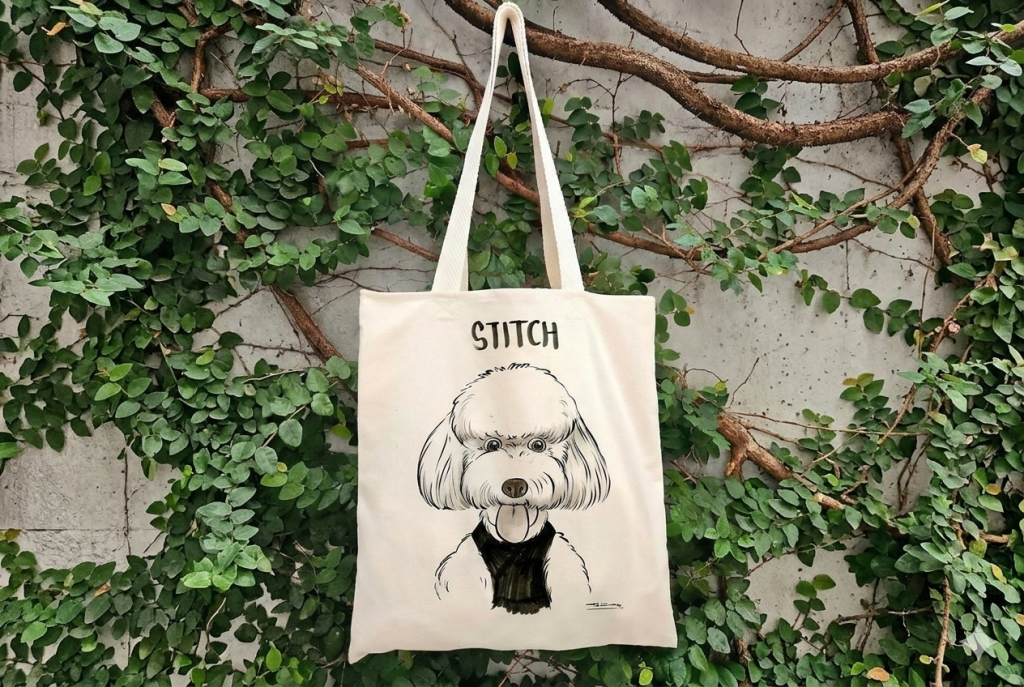 Caricaturas en Bolso