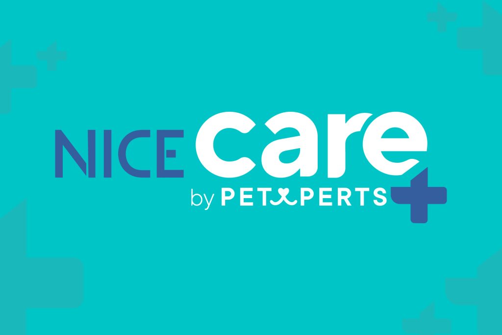 Conoce la nueva línea de Higiene Nice Care: pañales, areneros, bolsas y más.