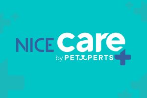 Conoce la nueva línea de Higiene Nice Care: pañales, areneros, bolsas y más.