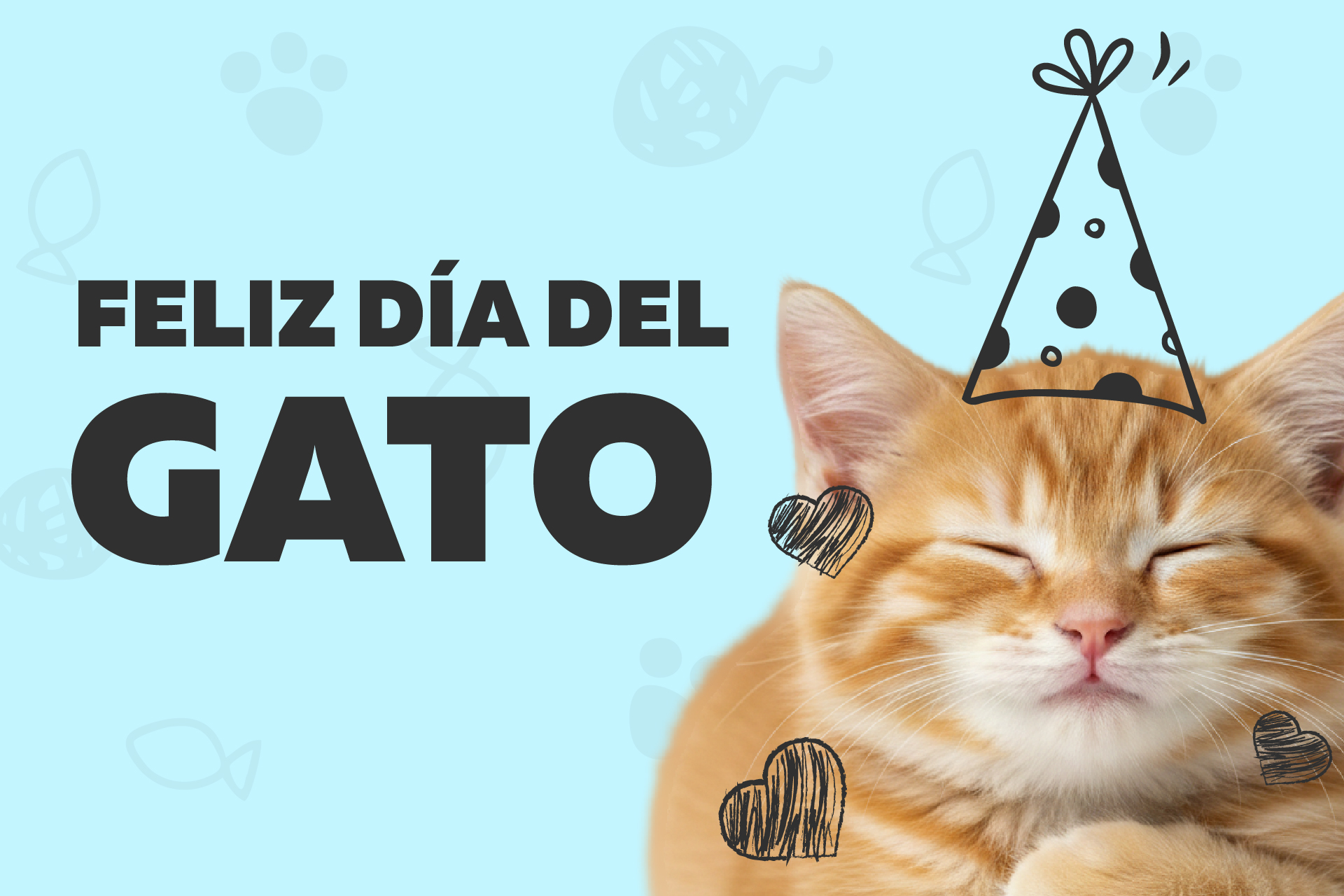 ¿Cuándo se celebra el día internacional del Gato?