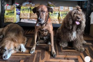 El Calendario Solidario SuperPet 2025: cada compra alimentó una vida